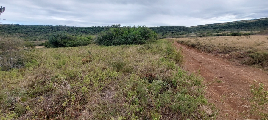 3 Bedroom Property for Sale in Komga Rural Eastern Cape